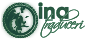 Ina Traduceri